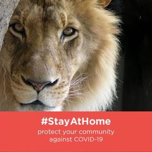 Meet your Posher, Anne